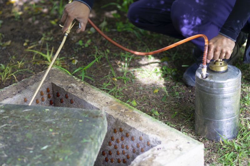 Spider Fumigation Service in Coeur D Alene, ID