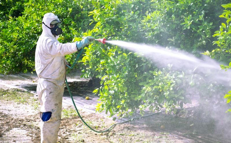 Commercial Fumigation in Naperville, IL
