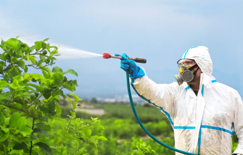 Rat Fumigation Service in Davis County, UT