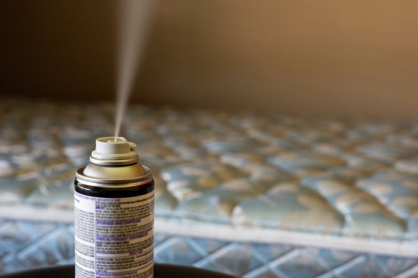 Bed Bug Fumigation
