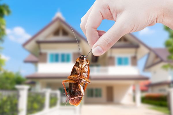 Bug Control Service