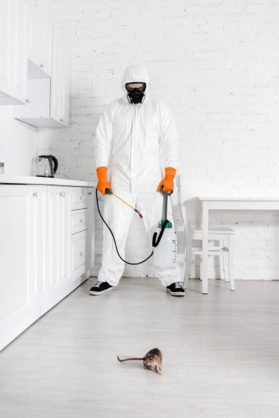 Mice Control Service