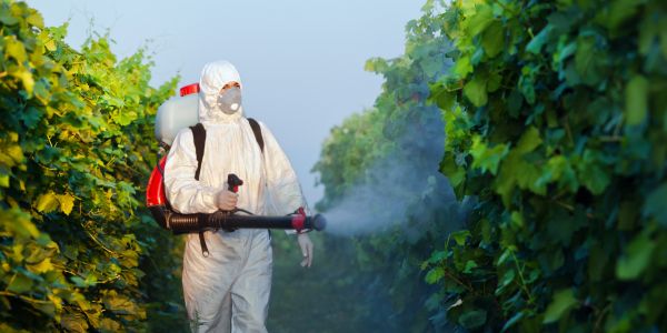 Emergency Pest Control