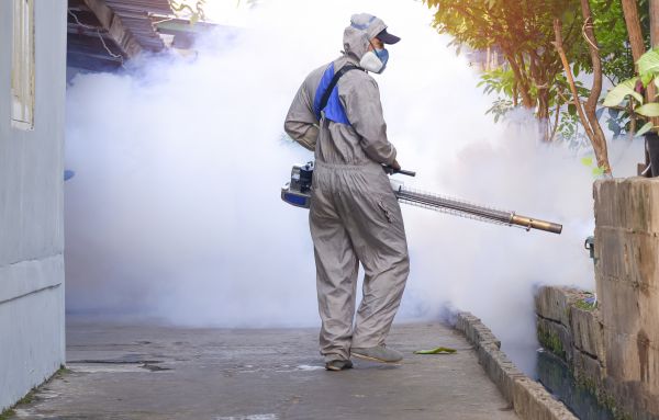 Fly Control Service