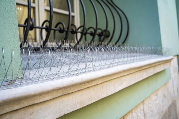 Bird Barrier Installation