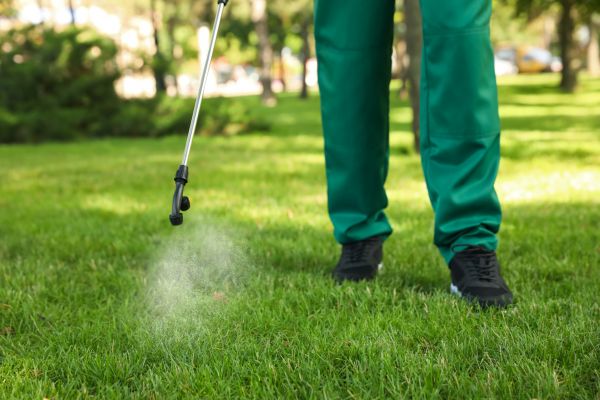 Bug Control Service