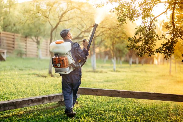 Commercial Lawn Treatment