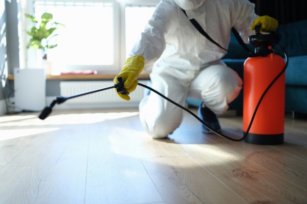 Insect Extermination Service