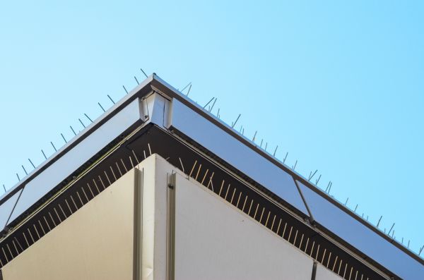 Bird Barrier Installation