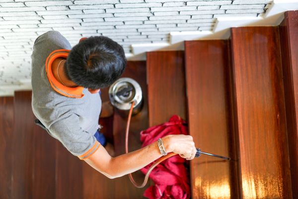 Termite Infestation Treatment