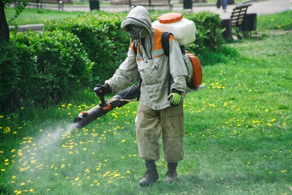 Chigger Extermination