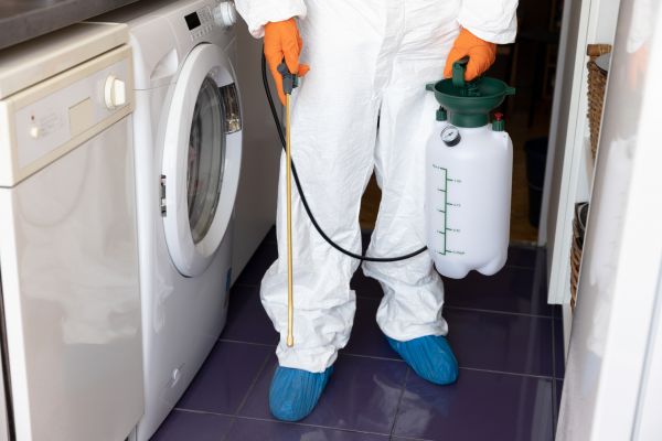 Home Insect Control