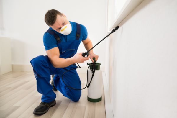 Bug Control