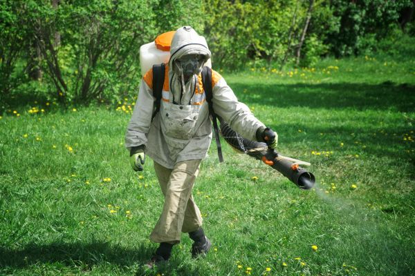 Flea Control Service