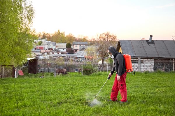 Lawn Pest Prevention
