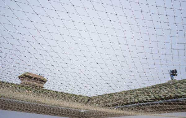 Bird Barrier Installation