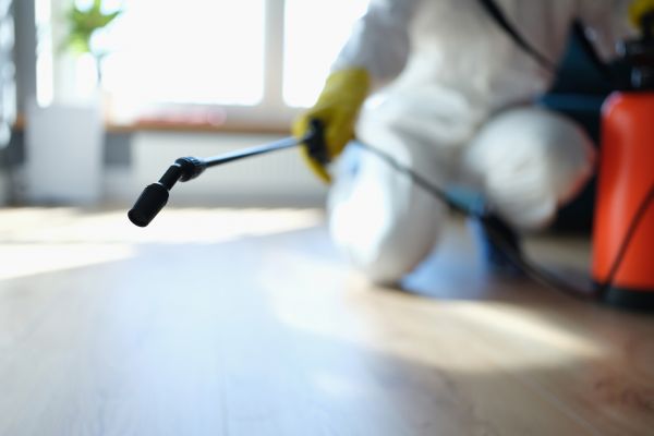 Bed Bug Fumigation