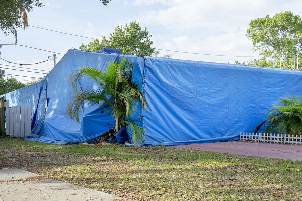Commercial Fumigation